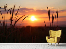 Load image into Gallery viewer, Photo Wallpaper Adorable sunset