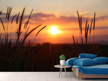 Load image into Gallery viewer, Photo Wallpaper Adorable sunset