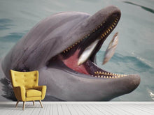 Load image into Gallery viewer, Photo Wallpaper Mealtime for a dolphin