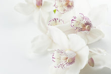 Load image into Gallery viewer, Photo Wallpaper Fantastic orchids