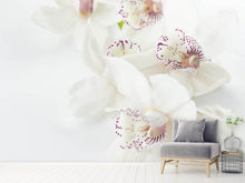 Load image into Gallery viewer, Photo Wallpaper Fantastic orchids