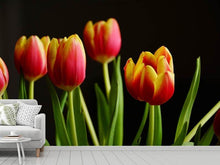 Load image into Gallery viewer, Photo Wallpaper Colorful tulips