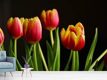 Load image into Gallery viewer, Photo Wallpaper Colorful tulips