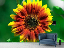 Load image into Gallery viewer, Photo Wallpaper Colorful sunflower