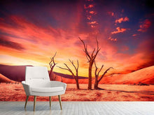 Load image into Gallery viewer, Photo Wallpaper Colorful desert