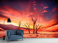Load image into Gallery viewer, Photo Wallpaper Colorful desert