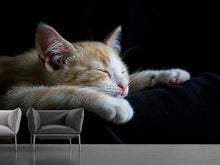 Load image into Gallery viewer, Photo Wallpaper Lazy cat