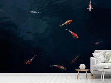 Load image into Gallery viewer, Photo Wallpaper Fish in the pond