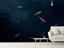 Load image into Gallery viewer, Photo Wallpaper Fish in the pond