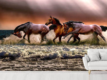Load image into Gallery viewer, Photo Wallpaper Freedom for horses