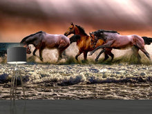 Load image into Gallery viewer, Photo Wallpaper Freedom for horses