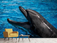 Load image into Gallery viewer, Photo Wallpaper Friendly dolphin