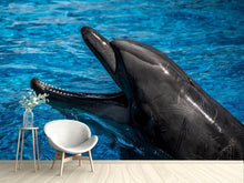 Load image into Gallery viewer, Photo Wallpaper Friendly dolphin