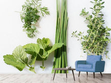 Load image into Gallery viewer, Photo Wallpaper Fresh herbs