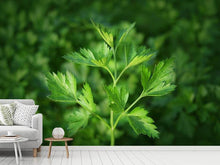 Load image into Gallery viewer, Photo Wallpaper Fresh parsley