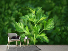 Load image into Gallery viewer, Photo Wallpaper Fresh parsley