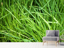 Load image into Gallery viewer, Photo Wallpaper Fresh chives XL