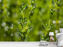 Load image into Gallery viewer, Photo Wallpaper Fresh thyme