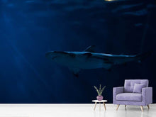 Load image into Gallery viewer, Photo Wallpaper Dangerous shark