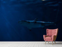 Load image into Gallery viewer, Photo Wallpaper Dangerous shark