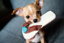 Load image into Gallery viewer, Photo Wallpaper Obedient chihuahua