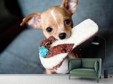 Load image into Gallery viewer, Photo Wallpaper Obedient chihuahua