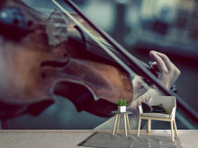 Load image into Gallery viewer, Photo Wallpaper violin