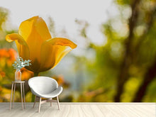 Load image into Gallery viewer, Photo Wallpaper Yellow tulip in the nature