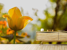 Load image into Gallery viewer, Photo Wallpaper Yellow tulip in the nature