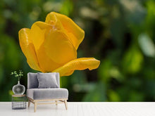Load image into Gallery viewer, Photo Wallpaper Yellow tulip XL