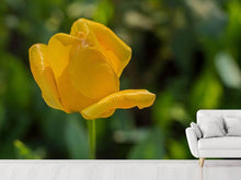Load image into Gallery viewer, Photo Wallpaper Yellow tulip XL