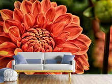 Load image into Gallery viewer, Photo Wallpaper Painting of a dahlia