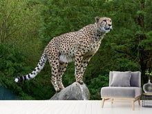 Load image into Gallery viewer, Photo Wallpaper Cheetah on the go