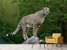 Load image into Gallery viewer, Photo Wallpaper Cheetah on the go
