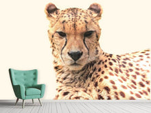 Load image into Gallery viewer, Photo Wallpaper Cheetah in the sun
