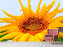 Load image into Gallery viewer, Photo Wallpaper Big sunflower