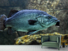 Load image into Gallery viewer, Photo Wallpaper Big fish