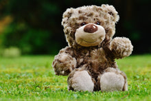 Load image into Gallery viewer, Photo Wallpaper Happy Teddy Bear