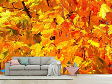 Load image into Gallery viewer, Photo Wallpaper Autumn leaves
