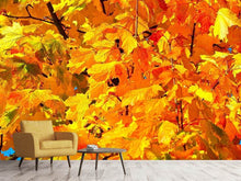 Load image into Gallery viewer, Photo Wallpaper Autumn leaves