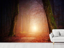 Load image into Gallery viewer, Photo Wallpaper Autumn in the woods