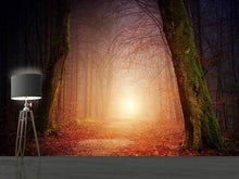 Load image into Gallery viewer, Photo Wallpaper Autumn in the woods