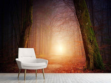 Load image into Gallery viewer, Photo Wallpaper Autumn in the woods