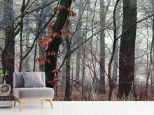 Load image into Gallery viewer, Photo Wallpaper autumn winter