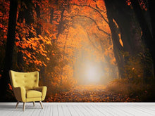 Load image into Gallery viewer, Photo Wallpaper Autumn light in the forest