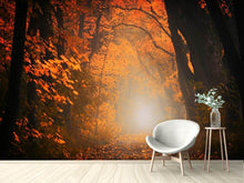 Load image into Gallery viewer, Photo Wallpaper Autumn light in the forest