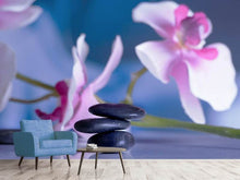 Load image into Gallery viewer, Photo Wallpaper Hot Stones