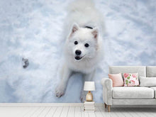 Load image into Gallery viewer, Photo Wallpaper Dogs joy in the snow