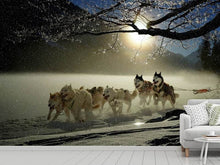 Load image into Gallery viewer, Photo Wallpaper huskies