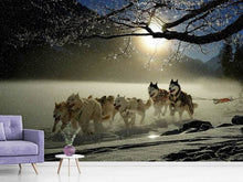 Load image into Gallery viewer, Photo Wallpaper huskies